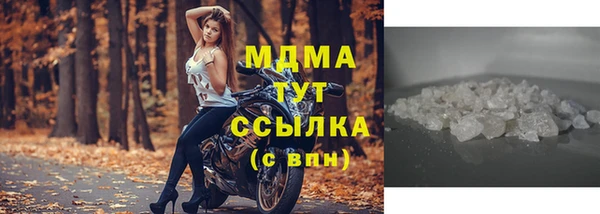 шишки Слюдянка