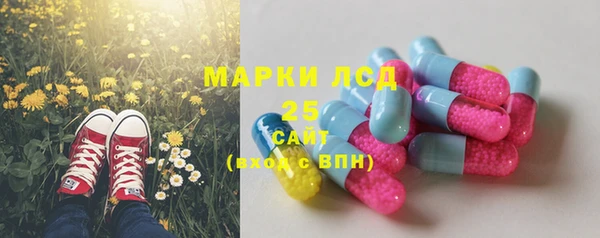 меф Снежинск