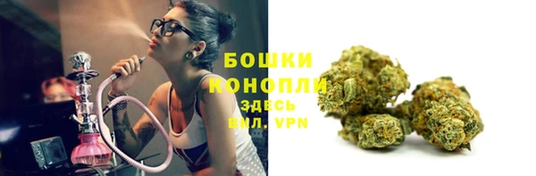 мескалин Ельня