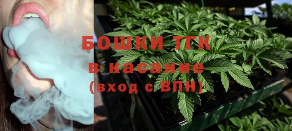 шишки Слюдянка