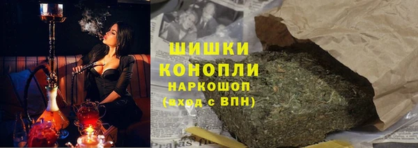 тгк Абаза