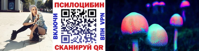 Псилоцибиновые грибы Psilocybe Богданович