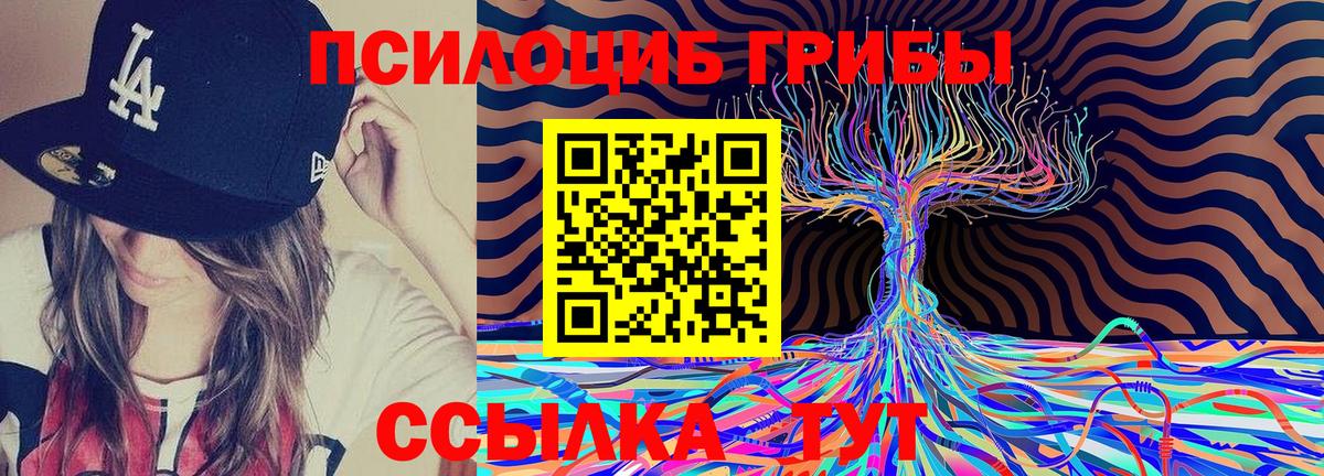 Богданович  Галлюциногенные грибы Psilocybe  Вход с VPN 