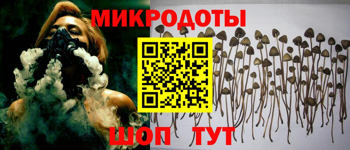 Псилоцибиновые грибы ЛСД Богданович